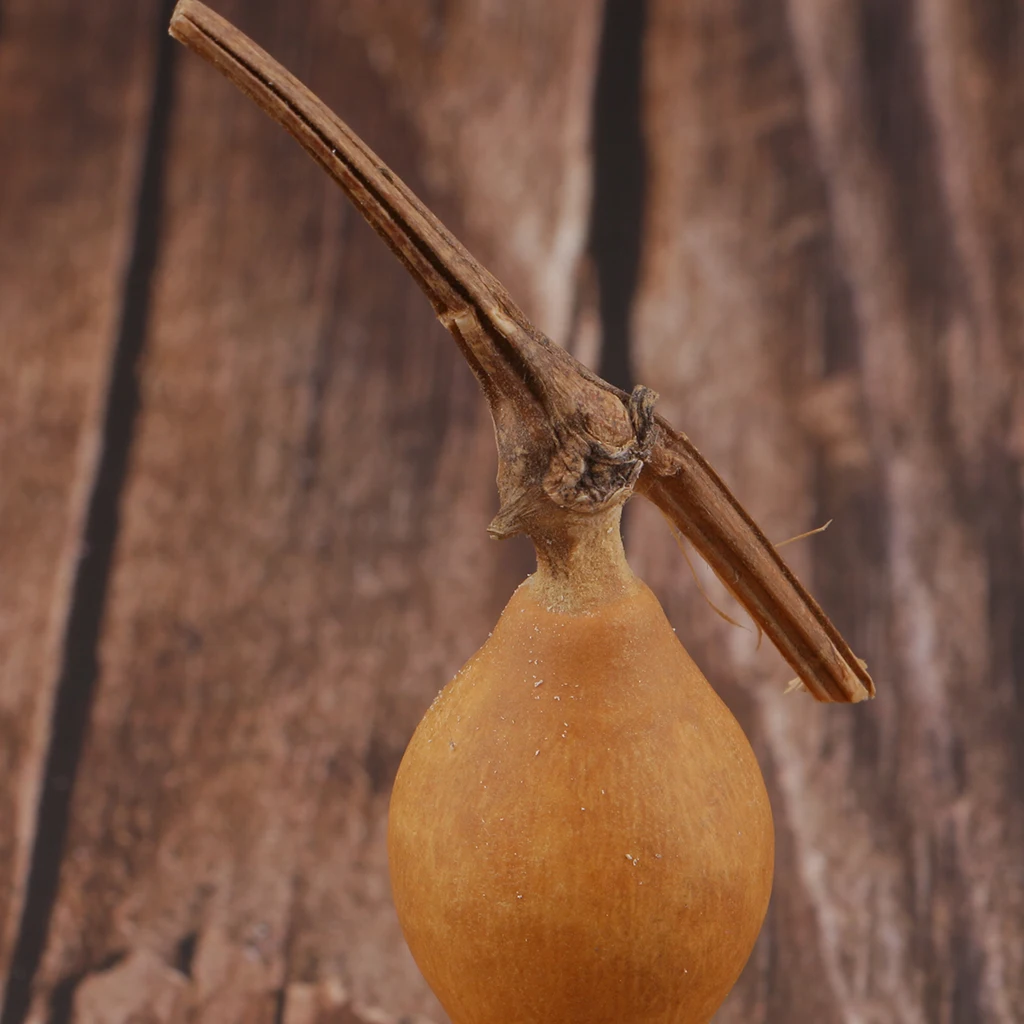 

5-6cm Small Natural Dry Gourd Bottle Gourd Cute For Wedding Christmas Decors