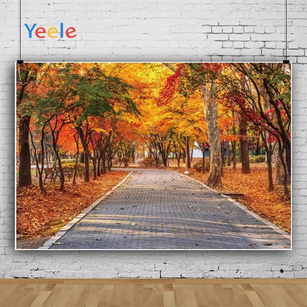 

Yeele Autumn Forest Maple Leaf Brick Road Scene Photography Children Background Photographic Child Backdrop For Photo Studio