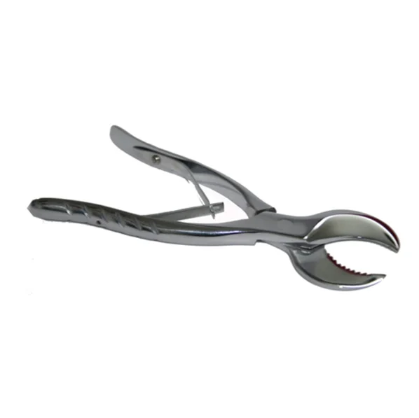 Бесплатная доставка 20 см (8 дюймов) большая Стоматологическая лаборатория