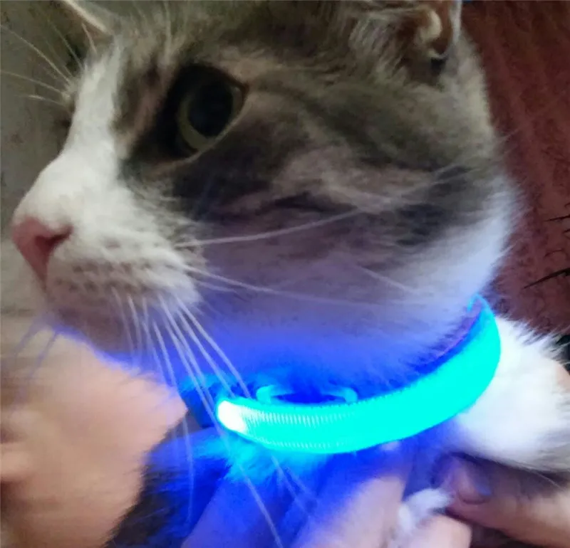 

Перезаряжаемый от USB ошейник для собак и кошек D68, нейлоновый световой ошейник, светоизлучающий светодиодный светящийся ошейник для собак, ш...