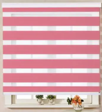 Included Curtain New Arrival Thickening Roller Blind Shutter Double Layer Shade Blinds Custom Zebra Free Shipping | Дом и сад