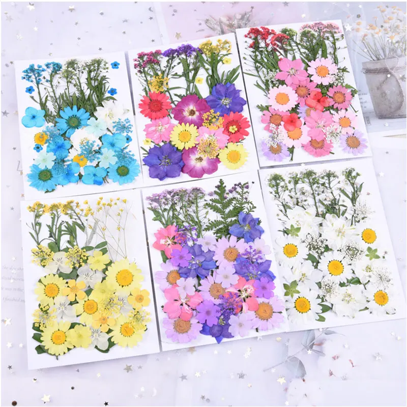 

1Bag Mix Flower Pressed Dried Flower Dry Leaves Plants for Epoxy Resin Pendant Necklace Jewelry Making Craft DIY Accessories