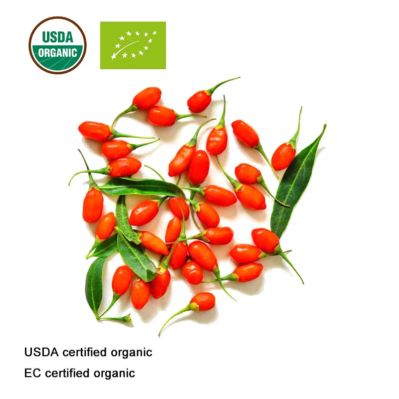 Сертифицированная USDA и EC Органическая сухая китайская Волчья ягода gojiberry |