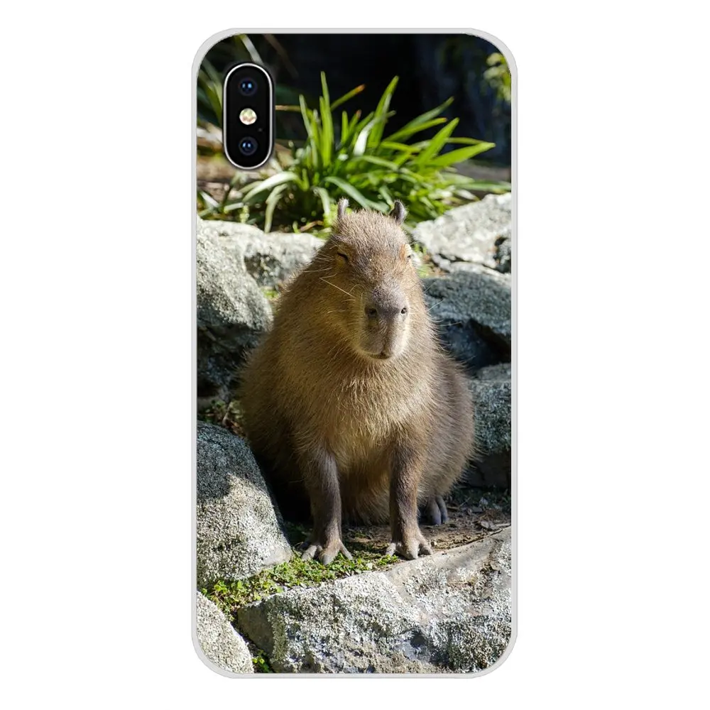 Аксессуары чехлы для телефонов Samsung Galaxy A3 A5 A7 A9 A8 Star A6 Plus 2018 2015 2016 2017 Animal Groundhog |