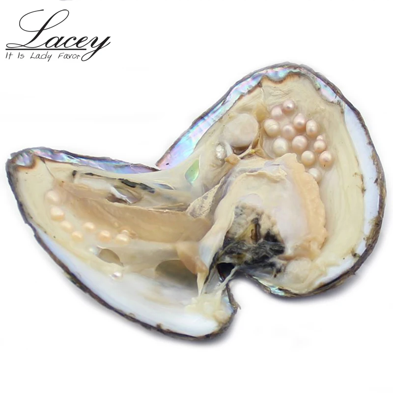 

Oysters Pearls Amazing Price 50pcs multi color freshwater oyster pearl in vacuum-packed,big oyster pearls shell