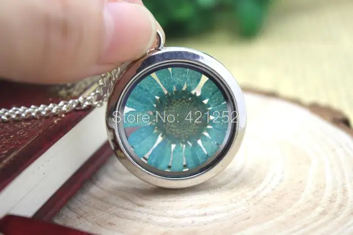 6 шт. колье с окошком настоящая Хризантема цветок стеклянный медальон ожерелье