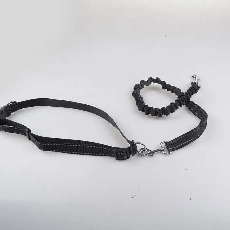 E35 поводок для собак утренней пробежки | Дом и сад