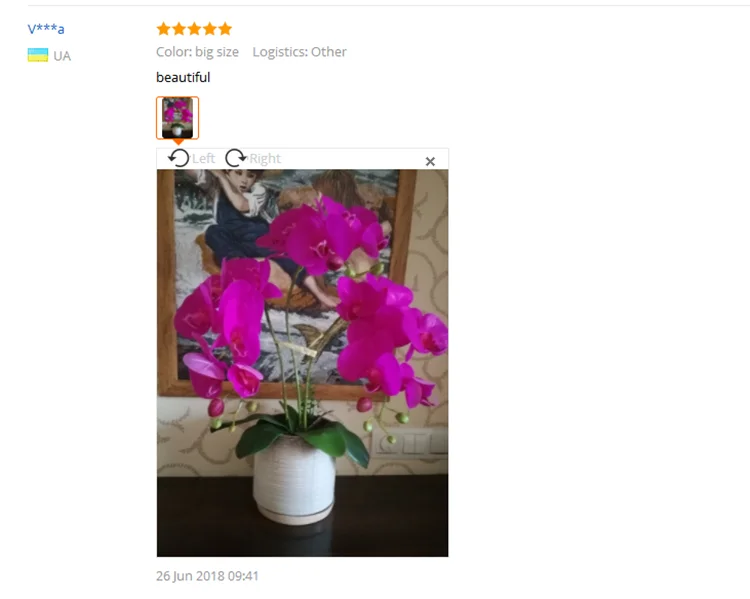 1 шт. Настоящий сенсорный Искусственный растительный лист phalaenopsis лист PU растение декоративный цветок материал вспомогательный лист домашний сад Рождественский Декор искусственные цветы тычинки цветов статуэтки