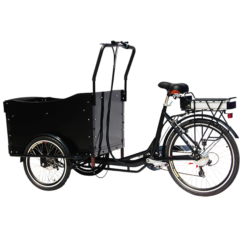 

3 Wheels Electric Adult Tricycle Rickshaw Mobile Cargo Bike Family Kids Scooter Vending Cart for Sale Customizable