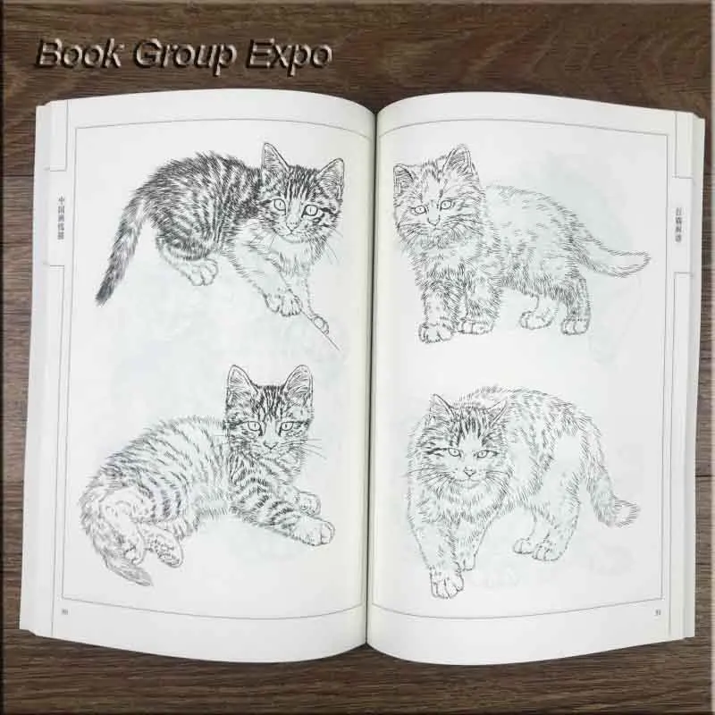Книга раскраска для детей и взрослых 94 страницы|painting drawing|animal drawingsanimal painting |