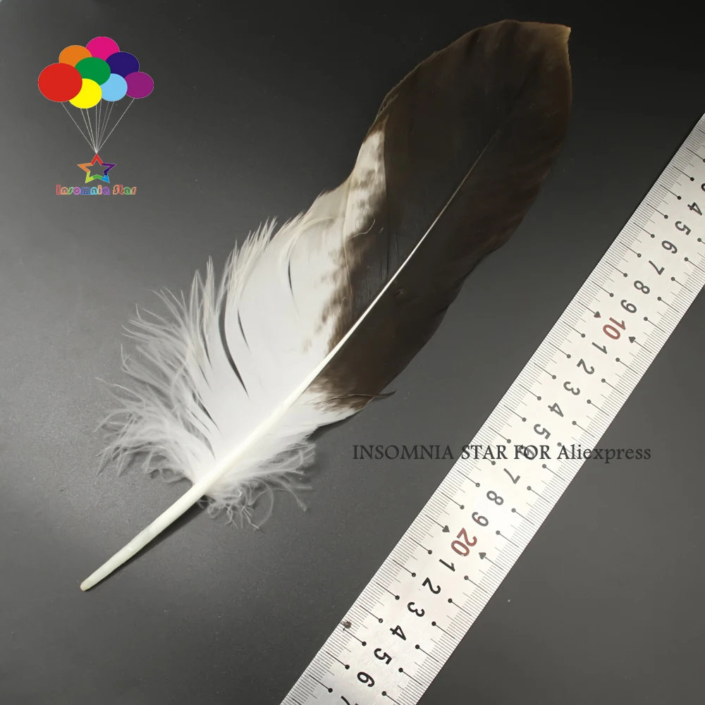 

2 pcs Natural Golden rare feathers 10-12inch/27-30cm Diy Carnival headress mask