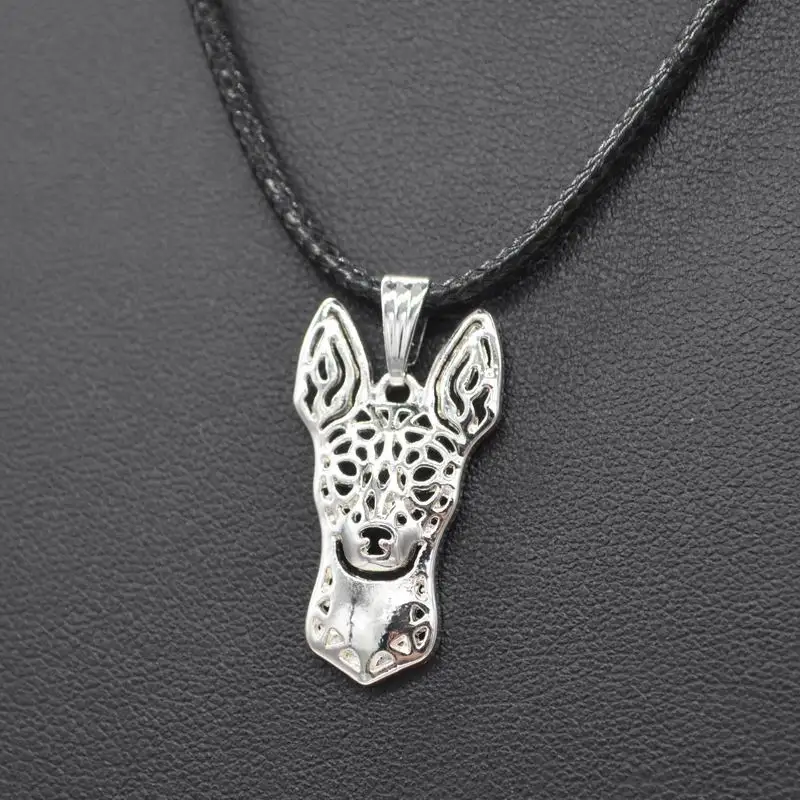 Модные металлические ювелирные изделия веревочная цепочка ожерелья для собак