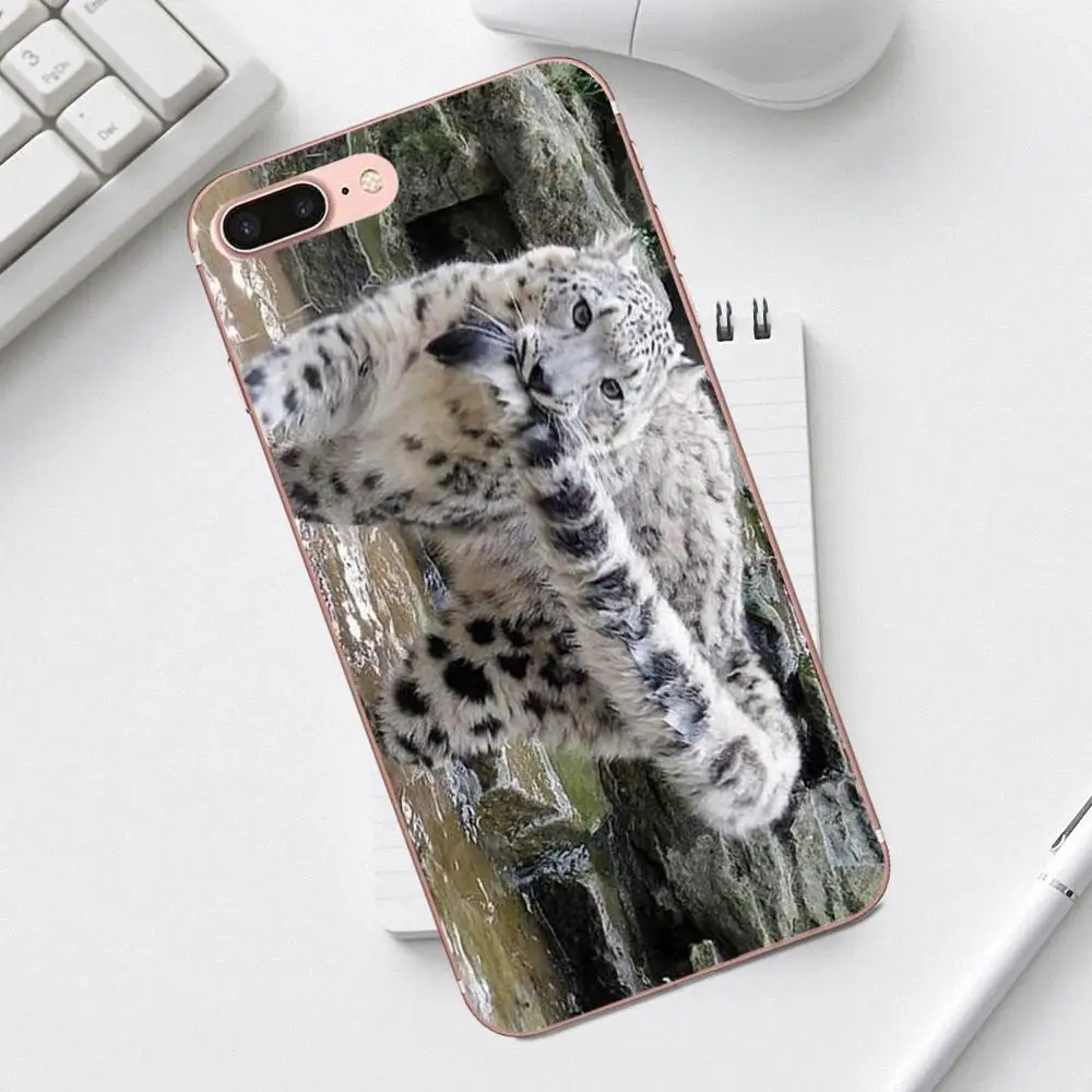 Qdowpz TPU Модный чехол для Galaxy Alpha Core Prime Note 4 5 8 S3 S4 S5 S6 S7 S8 S9 mini edge Plus животное