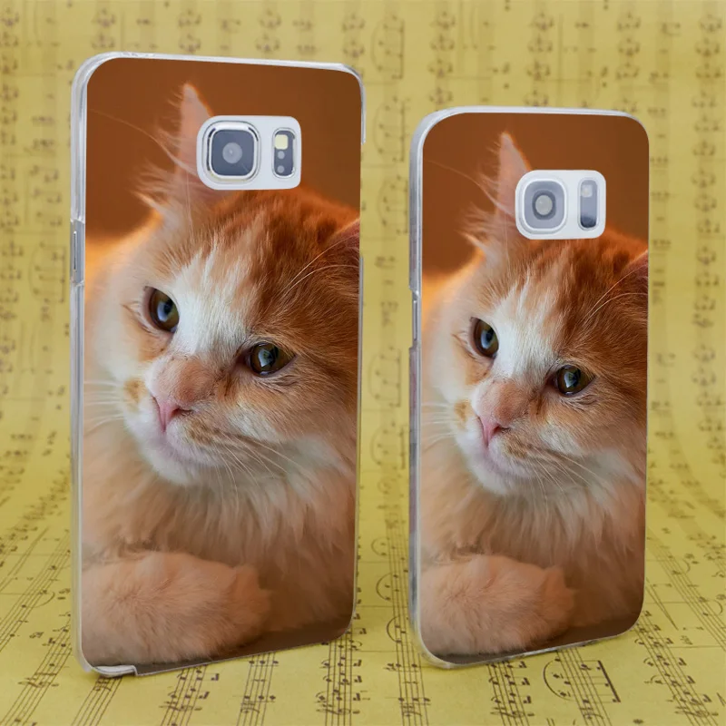 DREAM FOX B2808 Orange Fluffy Cat Transparent Hard PC Case Cover For Samsung Galaxy S 4 5 6 7 8 Mini Edge Plus Note 3 |