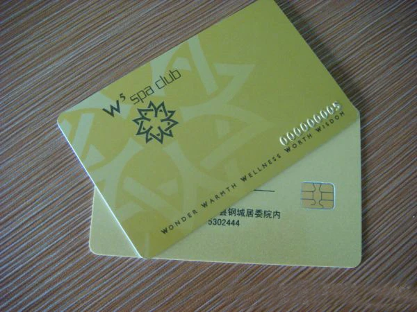 500 шт Фудань Чип SLE4442 Контактная смарт карта с заказной печатью|card card|card with chipcard chip