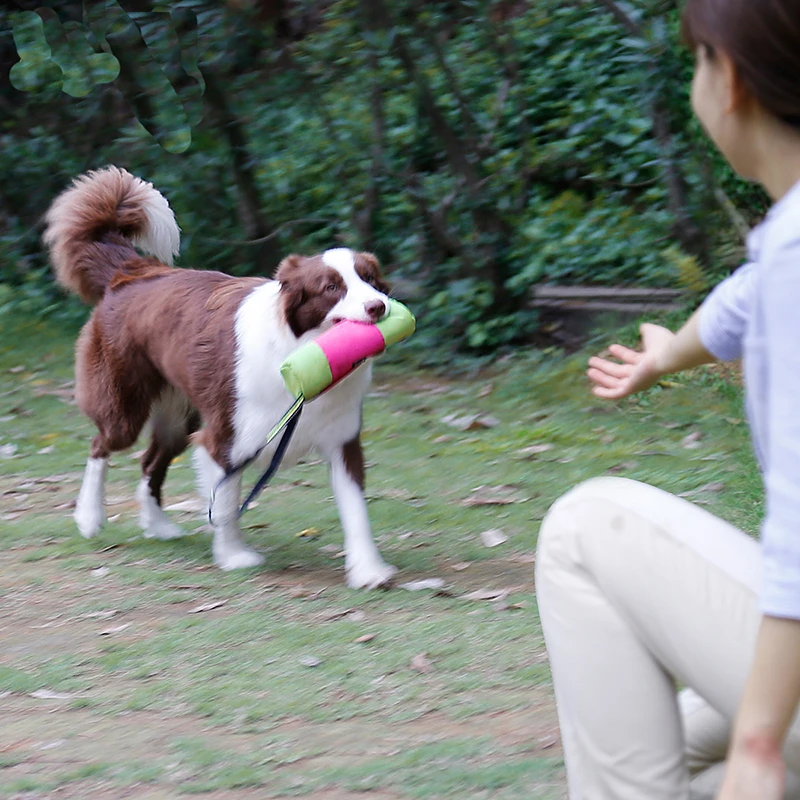 Сумка для закусок тренировочная закуска домашних животных приманка ловли на