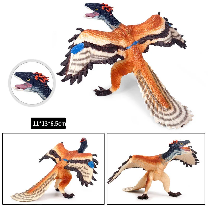 1pcs 11*13*6.5cm simulation Archaeopteryx vivied lifelike diverse Ancient dragon dinosaur model children gift Plastic toys | Игрушки и