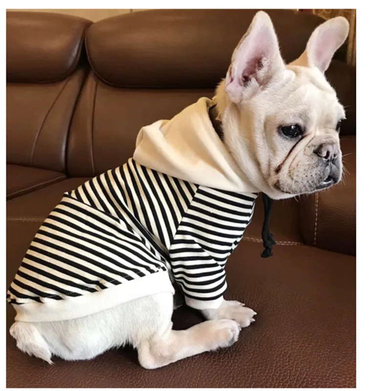 Bigeyedog весенне осенняя одежда для собак Чихуахуа Пудель Йоркширский терьер Бишон