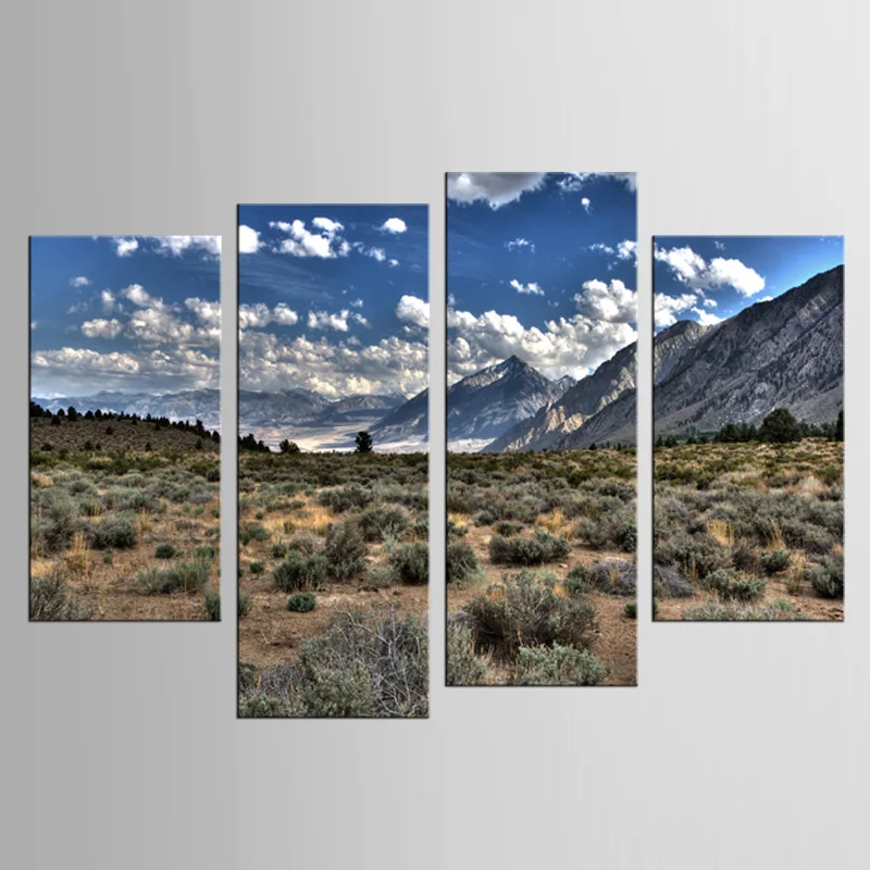 

4 шт./компл. картина с изображением кактуса на плато, засухи, картина, искусство на холсте, HD печать