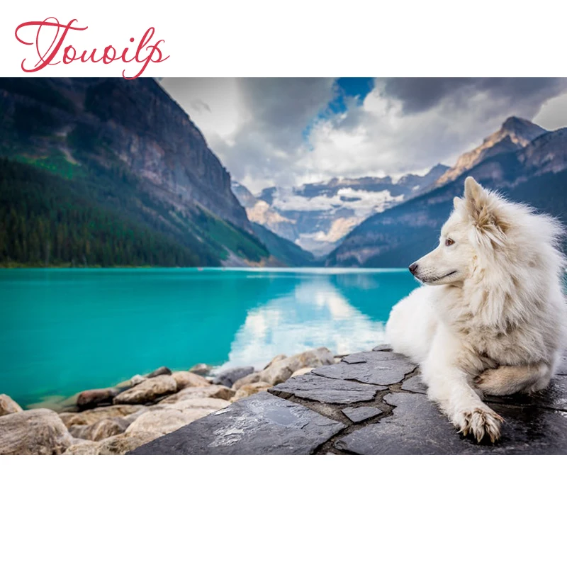 5D Nice view Diy diamond painting White wolf crystal Lake embroidery diy spuare cross stitchsets | Дом и сад