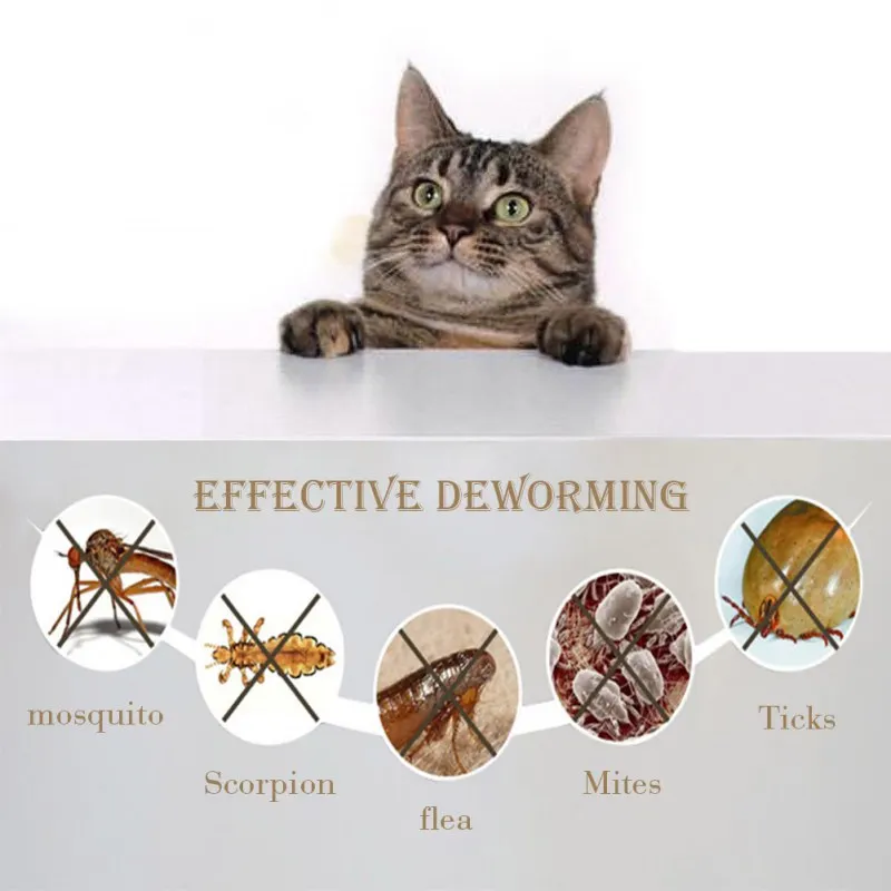 Новинка 2019 ошейник из натурального эфирного масла для домашних животных