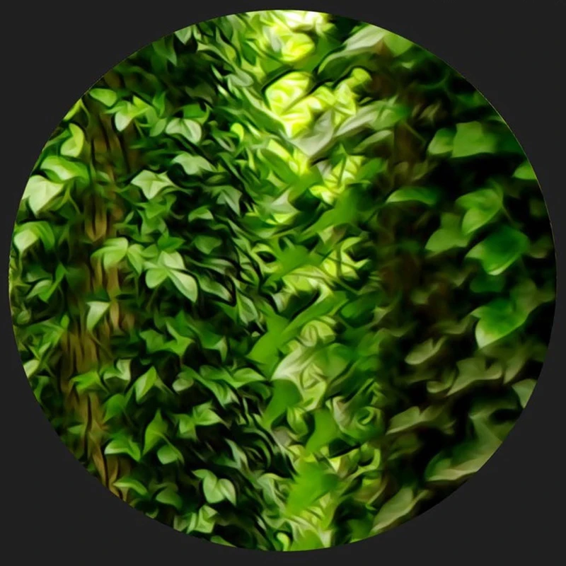 Настенные росписи по индивидуальному заказу 3D солома зеленый лес деревья