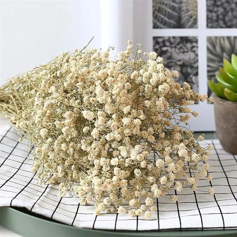 

Dried Flower Babysbreath Preserved Flower Photography Prop Wedding Party Decoration DIY Craft Scrapbook Home Decor Bouquet