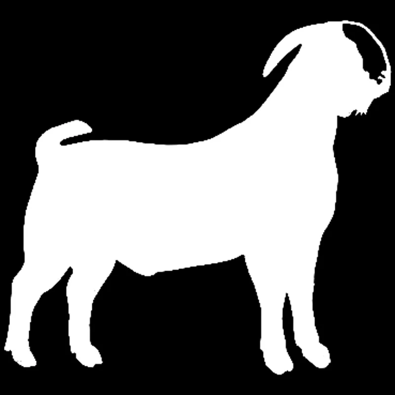 12 5 см * 11 .. Boer Goat Animal автомобильные аксессуары виниловые наклейки