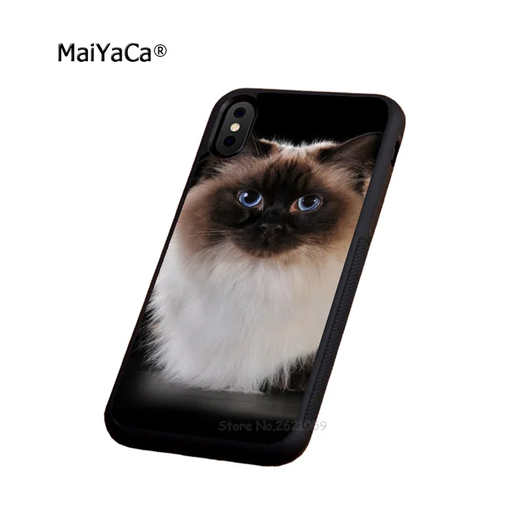 Сиамская кошка Мягкий край чехол для телефона iPhone 5S SE 6 6S plus 7 8 X XR XS MAX черный