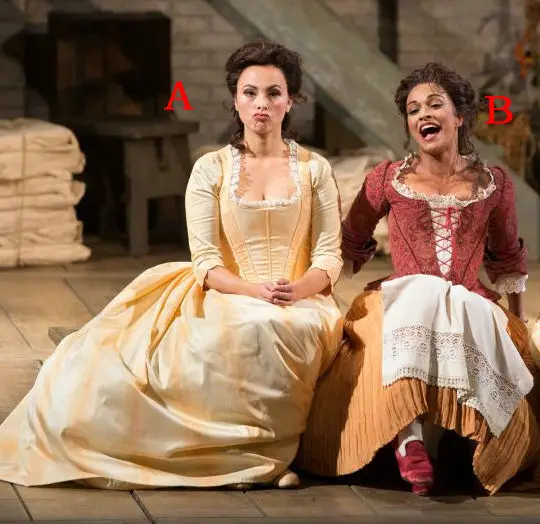 Новинка 2017! клиент-сделанные Роскошные винтажные костюмы викторианские платья