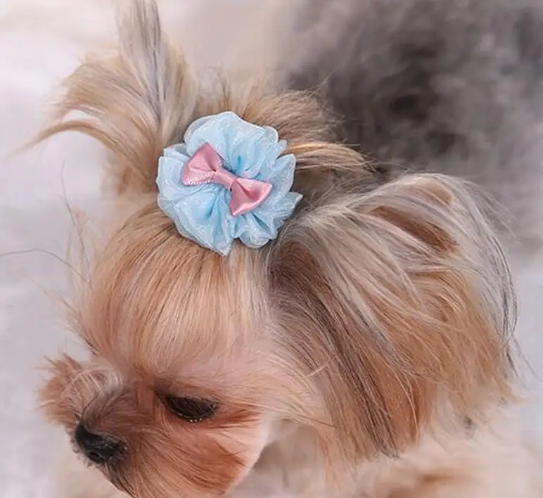 2 шт. прекрасная комнатная собачка шпильки для волос с украшением в виде кошек