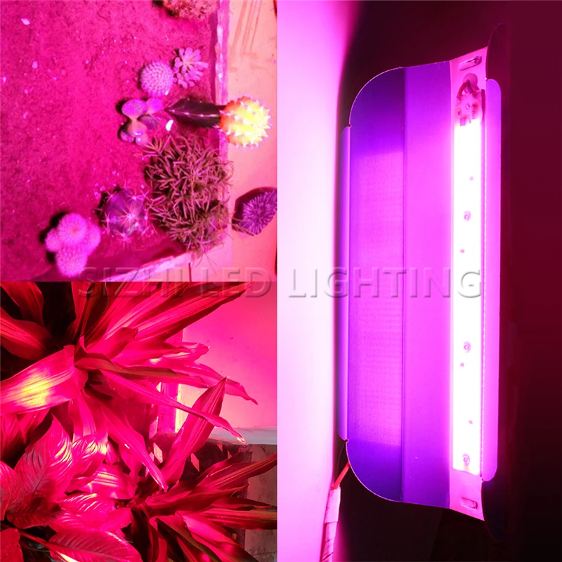 

10X Full Spectrum LED Phyto Lamp High Power 50W 80W LED Grow Light Waterproof 110V 220V For Indoor Plants Greenhouse Hydroponic