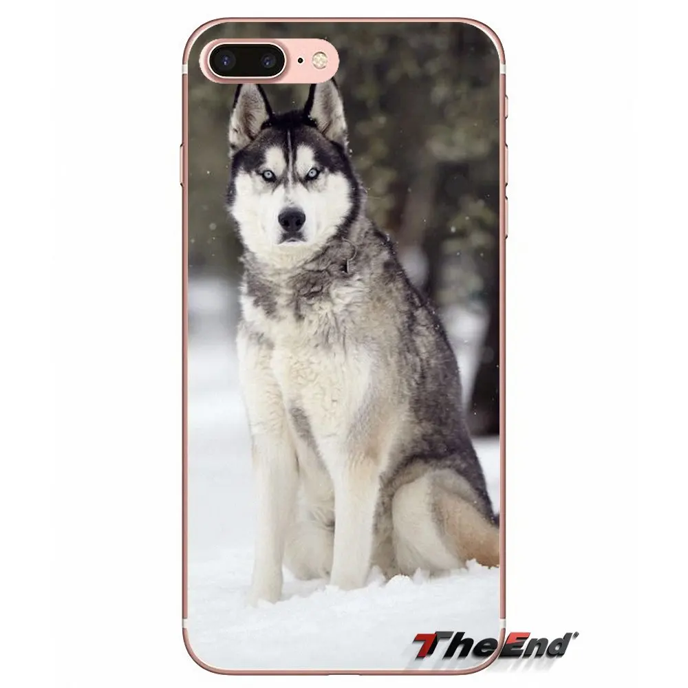 Для iPhone X 4 4S 5 5S 5C SE 6 6S 7 8 Plus Samsung Galaxy J1 J3 J5 J7 A3 A5 2016 2017 Husky аксессуары для собак чехлы