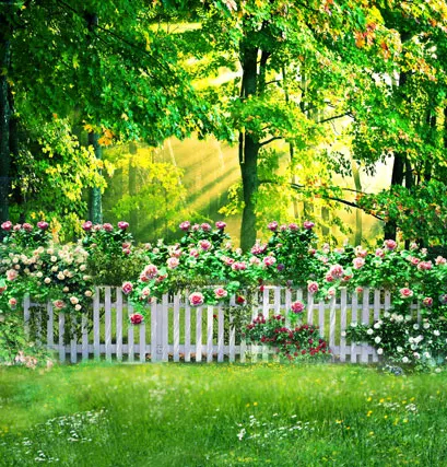 VinylBDS 200x300 см фоны для фотосъемки фон для фотосъемки луч цветы Луг