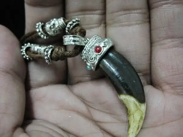 10 шт. Ретро стиль для женщин и мужчин тибетские украшения амулет клыки собак