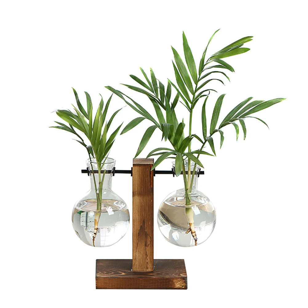 Гидропонная фотография Terrarium винтажный цветочный горшок прозрачная ваза