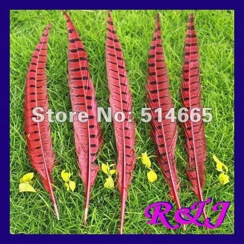 

Wholesale dyed feather pheasant feathers 100PCS 25-30cm 10-12inch red pheasant tail feather Free Shipping