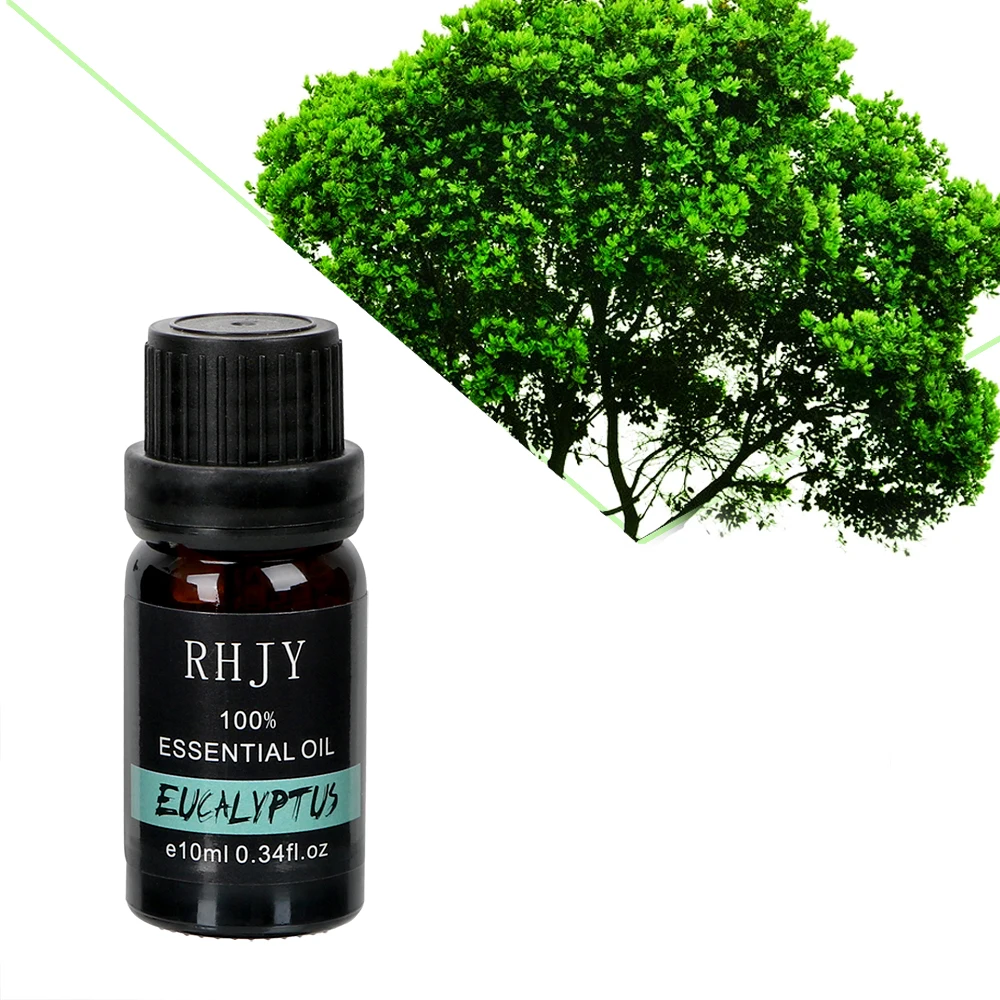 Eucalyptus Oil 10 мл автомобильный парфюм водорастворимый для увлажнителя Ароматерапия масло натуральное растительное эфирное масло 6 ароматов автомобильный освежитель воздуха - Название цвета: Eucalyptus Oil