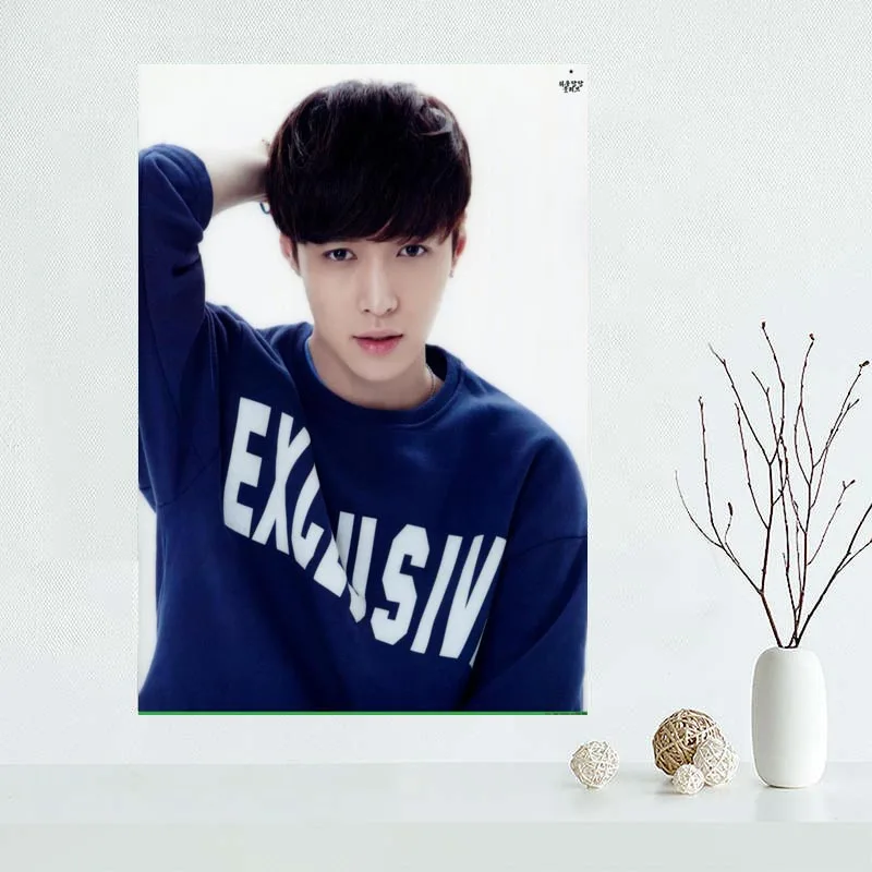 Custom LAY Canvas Painting Poster Home Decor Cloth Fabric Wall Art 27x40cm 30x45cm 40x60cm 50x75cm 60x90cm | Дом и сад