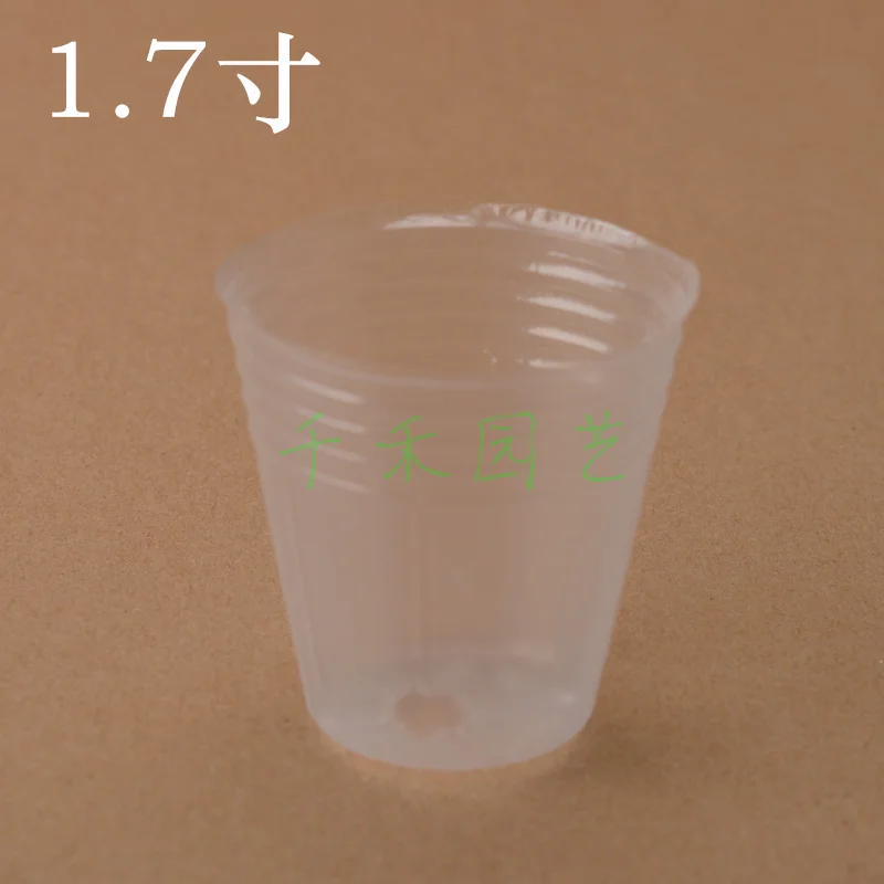 Прозрачная чашка для выращивания орхидеи 1 7 дюйма|seedling nursery|plant nurseryplant nursery bags |