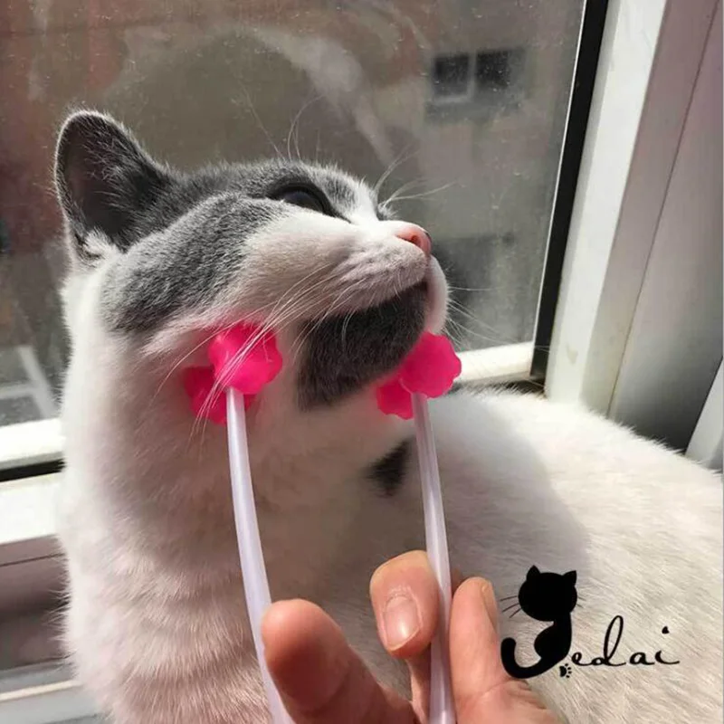 Для кошек и собак кроликов Pet Уход за лошадьми поставки худое лицо массажер каток