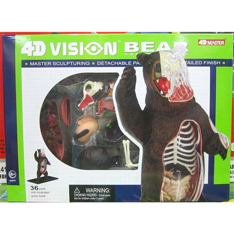 

4D Black bear Intelligence Assembling Toy Animal Organ Anatomy Model Medical Teaching DIY Popular Science Appliances