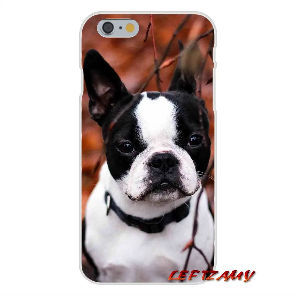 Frenchie французские аксессуары для бульдога чехлы телефонов Чехлы Samsung Galaxy S3 S4 S5 MINI S6