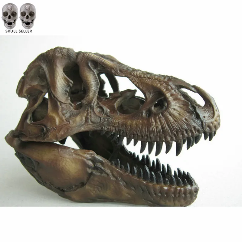 Ремесла Искусство ремесла 1/12 Тираннозавр Рекс Динозавр череп Смола Fossil