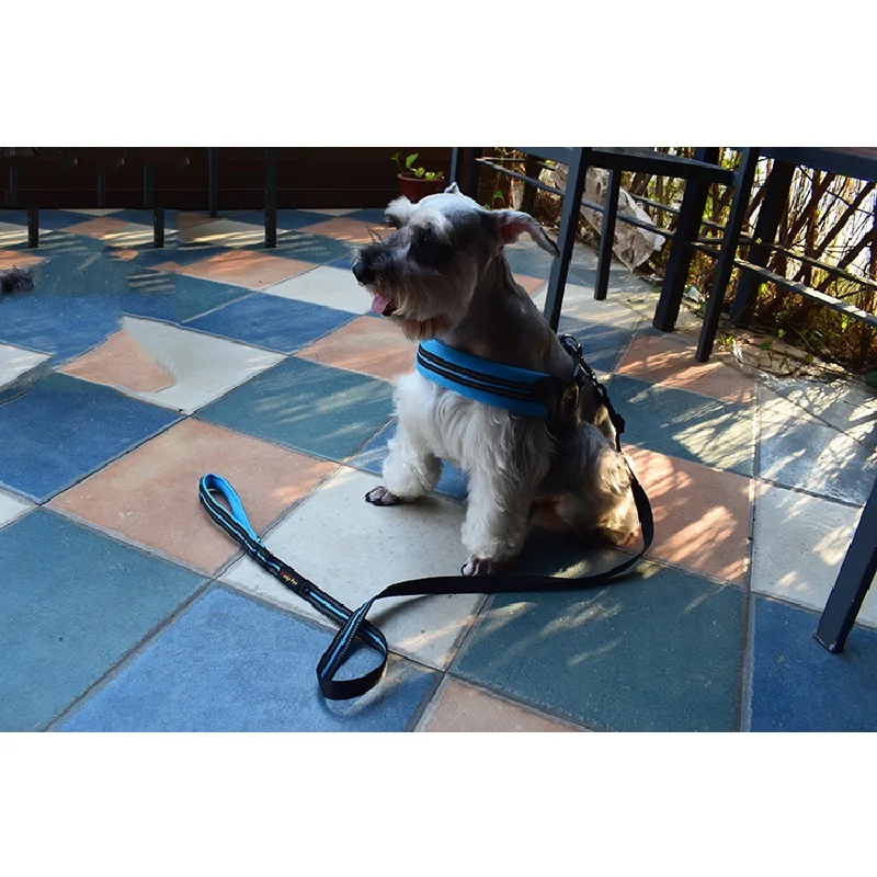 

Pet Supplies Chest Strap Mesh Breathable Adjustable Dog Harness Reflective Harnesses Nylon For Large Medium And Small Dogs HY015