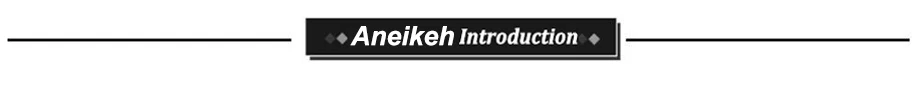 Aneikeh/Новинка года; сандалии-гладиаторы; модные женские туфли на высоком каблуке с открытым носком и ремешком на щиколотке; ботинки с эластичными лентами; туфли-лодочки; Размеры 35-40