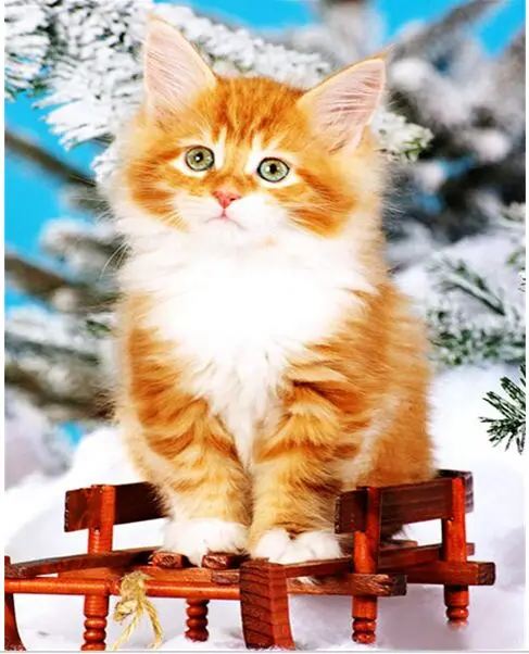 Новый полный алмазов сидит кошка ручной вышивки крестом мозаика ремесел Home Decor Wall