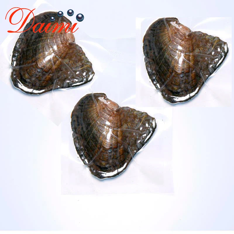 DMKB0033 6 9 мм натуральный жемчуг Пресноводный Культивированный рисовый бисер