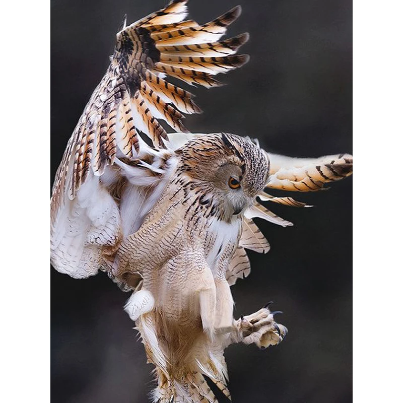 Алмазная картина 5D для вышивки крестиком из мультфильма смолы в европейском и