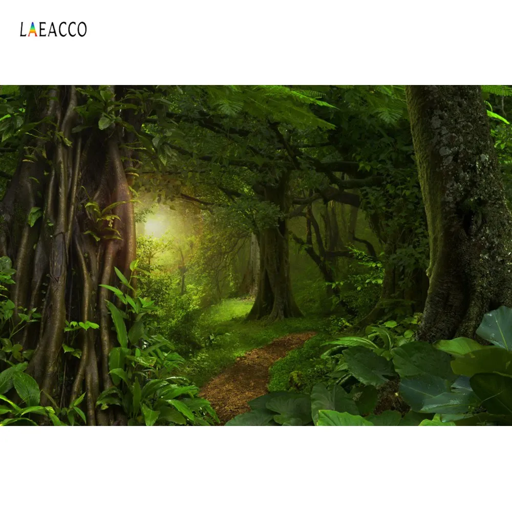 Laeacco лес джунгли дерево зеленый ручей камень трод естественный вид фотографии фоны для фотостудии